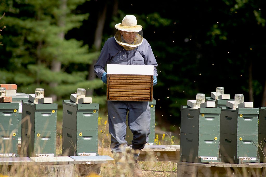 Beekeeping Equipments